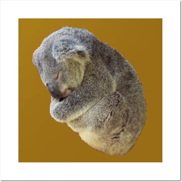 Sleeping Koala Bear Wall Art by HutzcraftDesigns